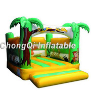 inflatable bouncer